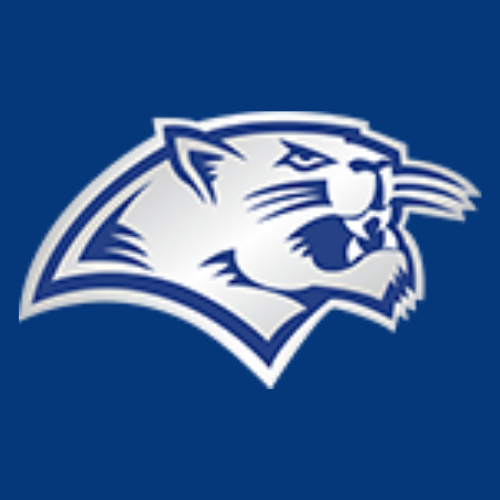 LISD Logo