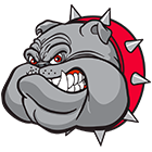 BMS Logo