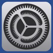 iPhone Settings Icon