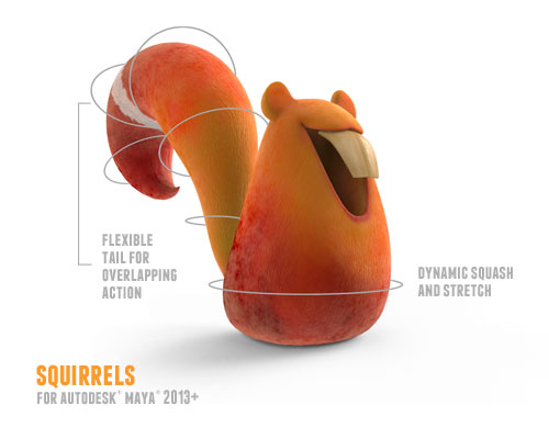 Squirrel 