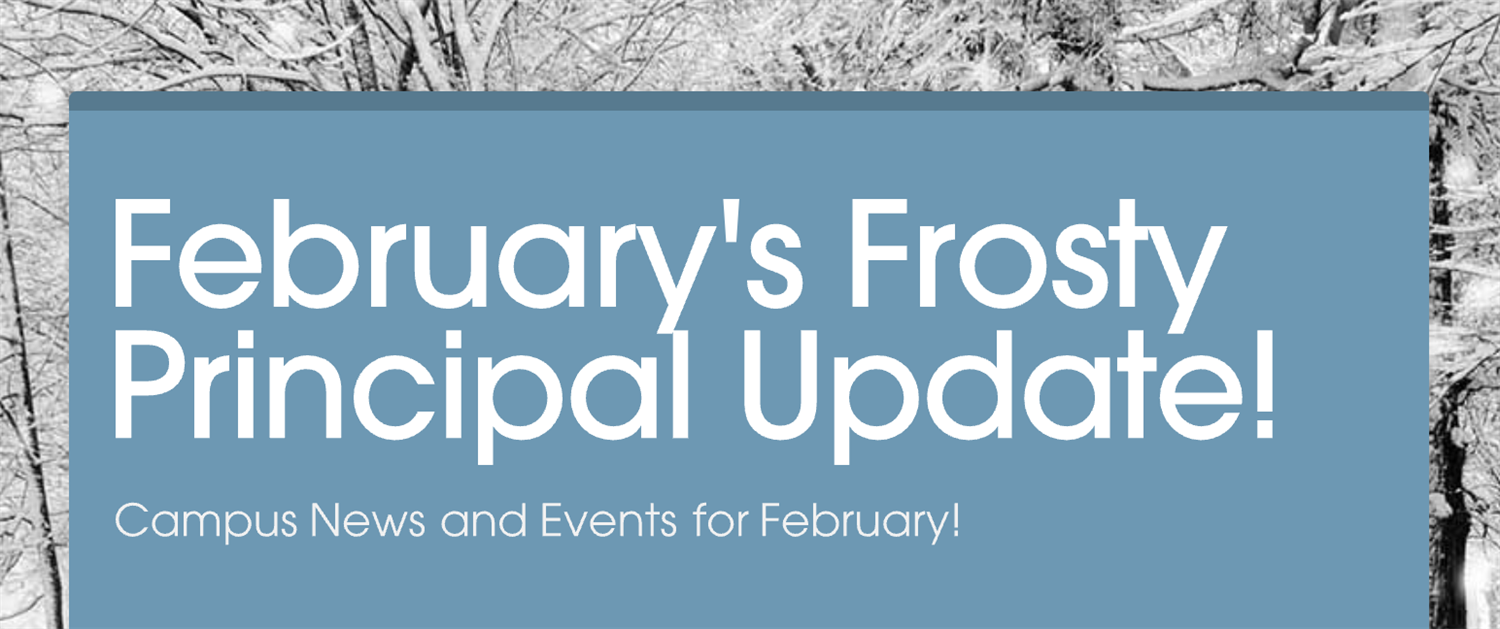  feb