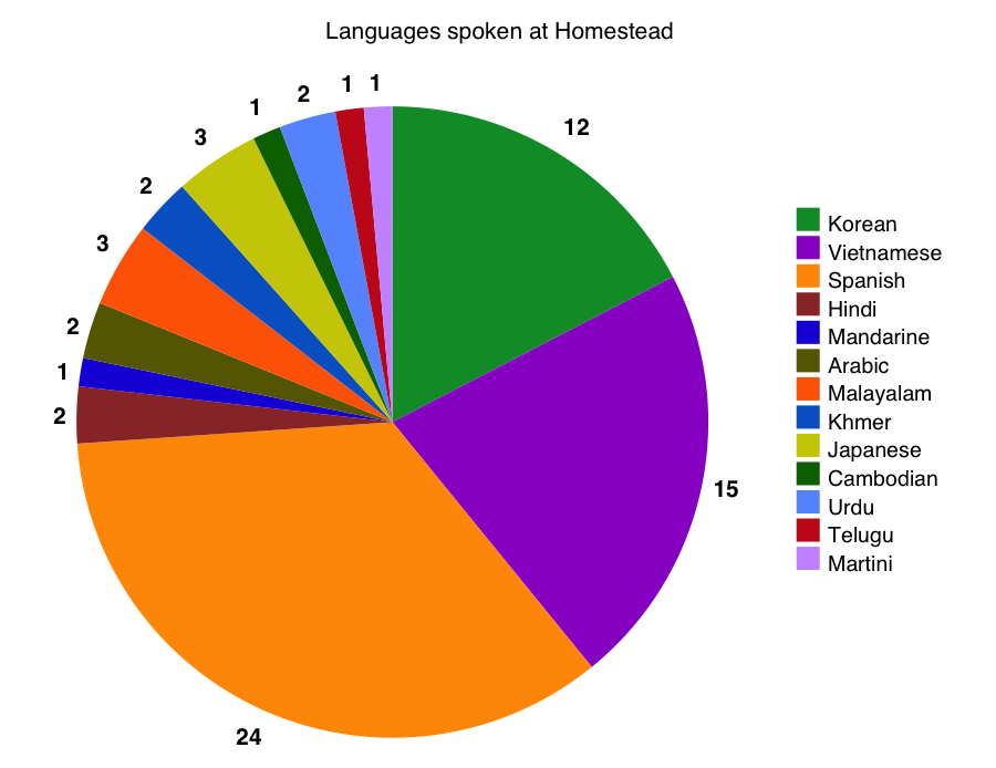 Pie Chart 