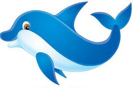 Dolphin 