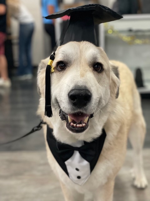 milo