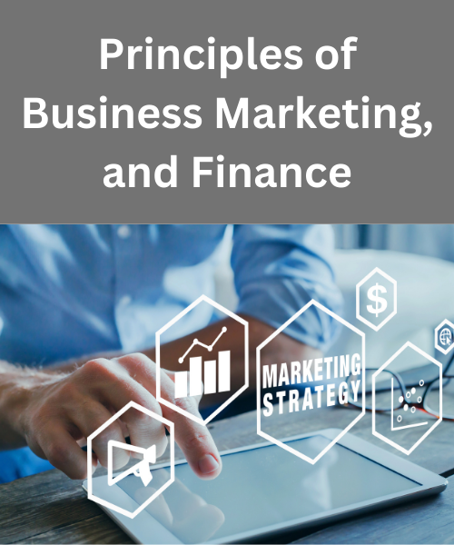 Principles of Business Marketing and Finance