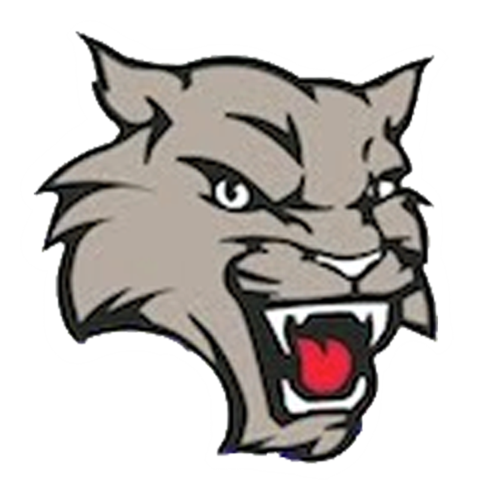 Wildcat