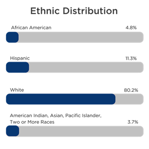 Ethnic Distribution 