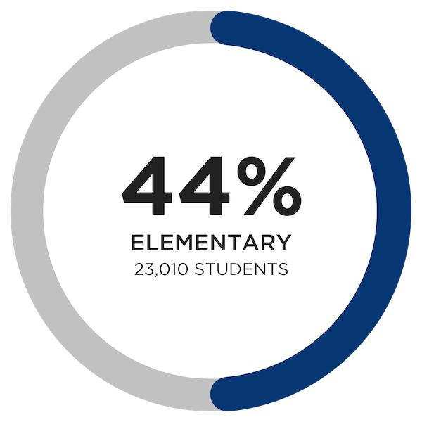 Elementary Students 
