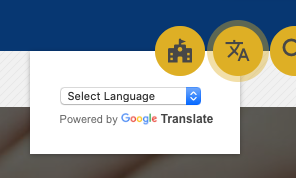 Translation button for website 